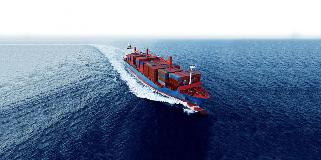 Servicios Marítimos Especializados